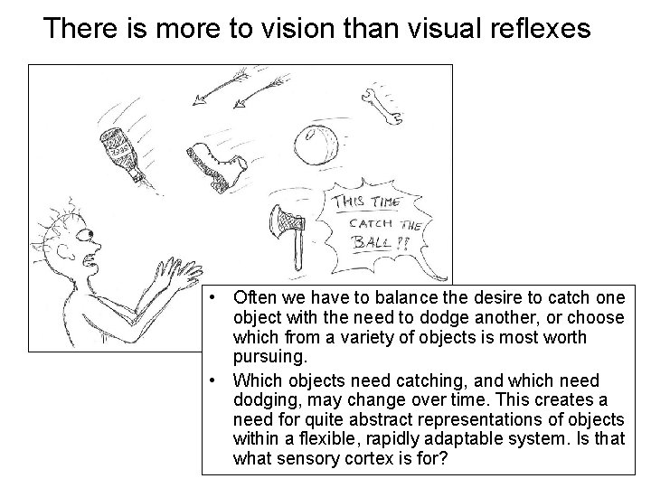 There is more to vision than visual reflexes • Often we have to balance