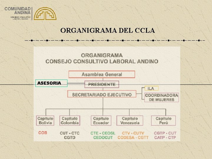 ORGANIGRAMA DEL CCLA ASESORIA 