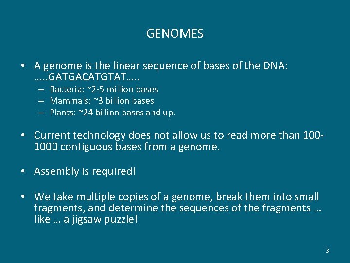 GENOMES • A genome is the linear sequence of bases of the DNA: ….