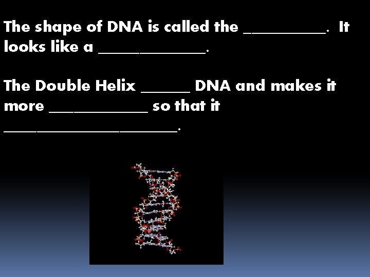 The shape of DNA is called the _____. It looks like a _______. The