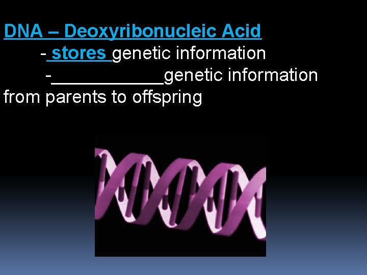 DNA – Deoxyribonucleic Acid - stores genetic information -______genetic information from parents to offspring