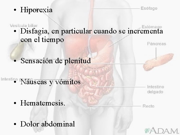  • Hiporexia • Disfagia, en particular cuando se incrementa con el tiempo •