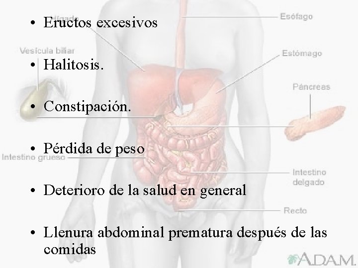  • Eructos excesivos • Halitosis. • Constipación. • Pérdida de peso • Deterioro
