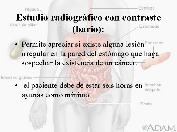 Estudio radiográfico contraste (bario): • Permite apreciar si existe alguna lesión irregular en la