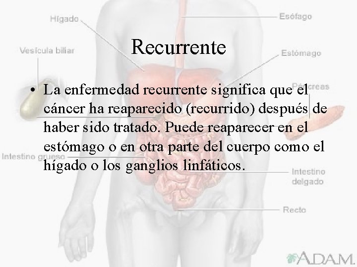Recurrente • La enfermedad recurrente significa que el cáncer ha reaparecido (recurrido) después de