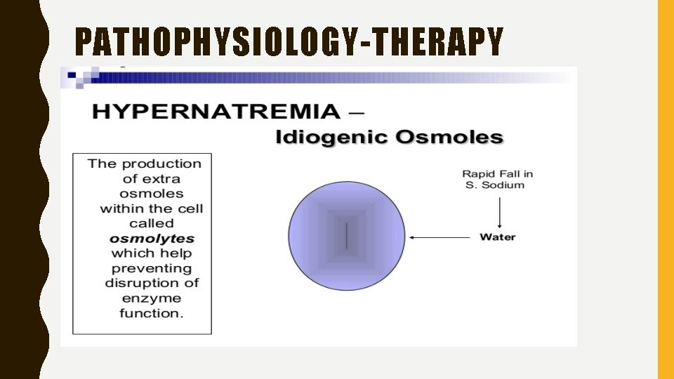 PATHOPHYSIOLOGY-THERAPY 