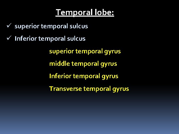 Temporal lobe: ü superior temporal sulcus ü Inferior temporal sulcus superior temporal gyrus middle