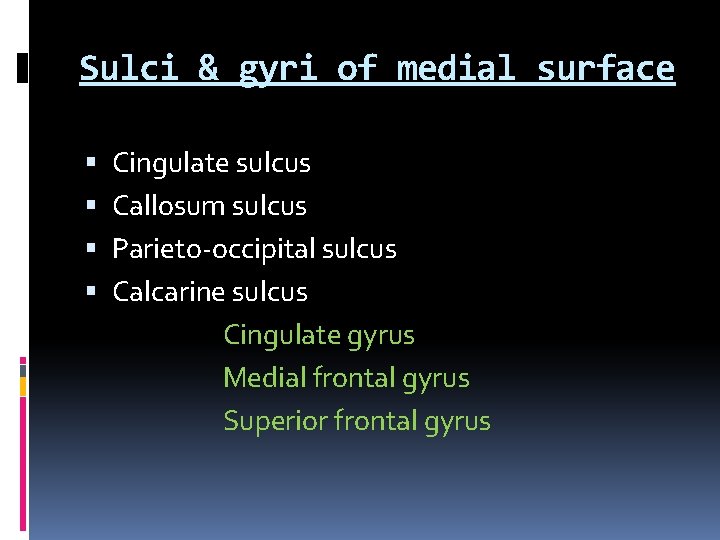 Sulci & gyri of medial surface Cingulate sulcus Callosum sulcus Parieto-occipital sulcus Calcarine sulcus