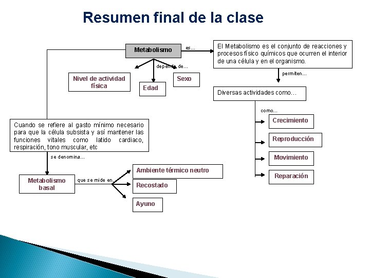 Resumen final de la clase Metabolismo es… depende de… Nivel de actividad física El