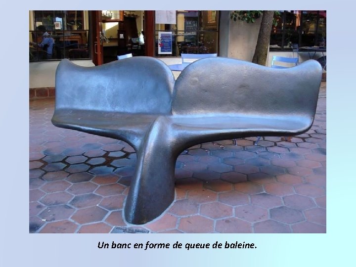 Un banc en forme de queue de baleine. 