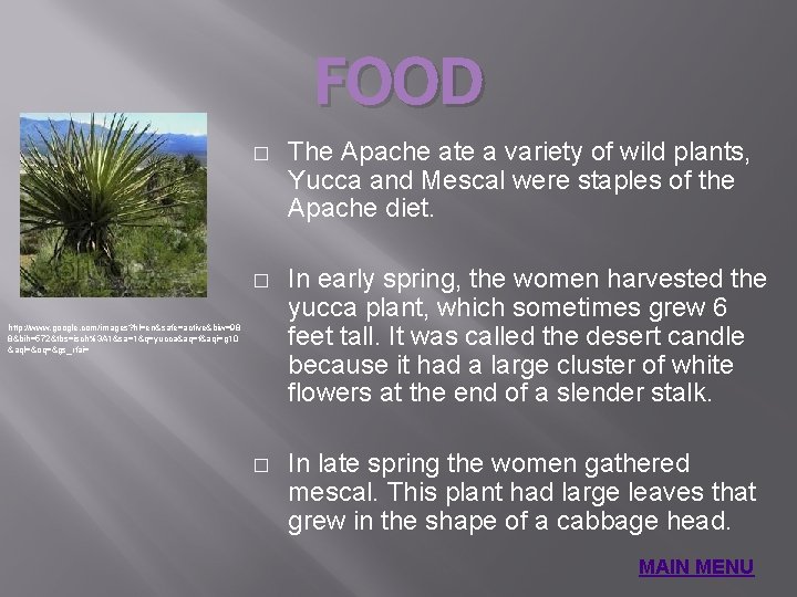 FOOD � The Apache ate a variety of wild plants, Yucca and Mescal were