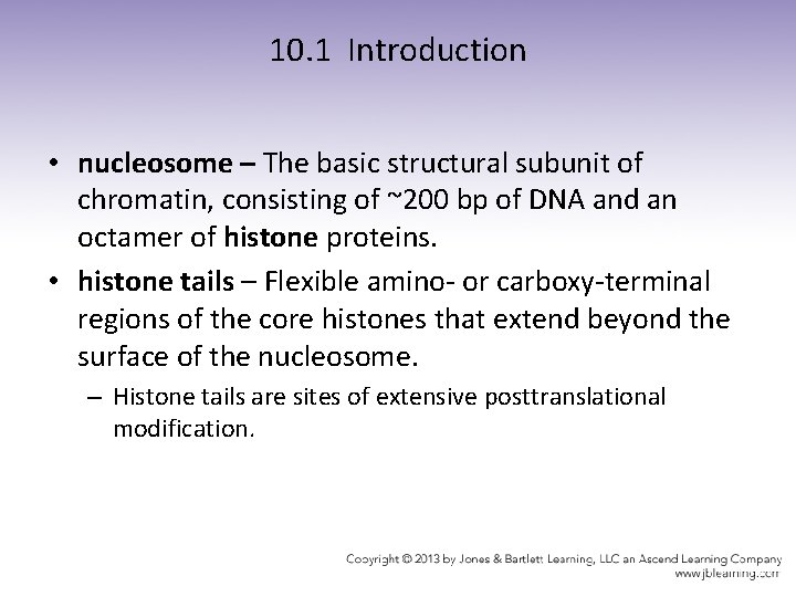 10. 1 Introduction • nucleosome – The basic structural subunit of chromatin, consisting of