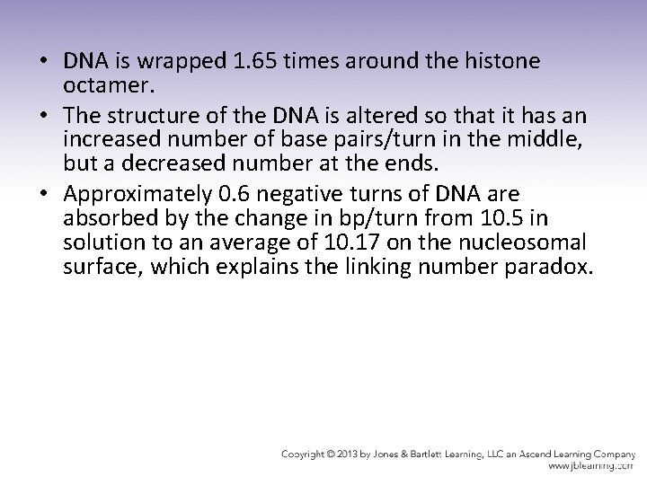  • DNA is wrapped 1. 65 times around the histone octamer. • The