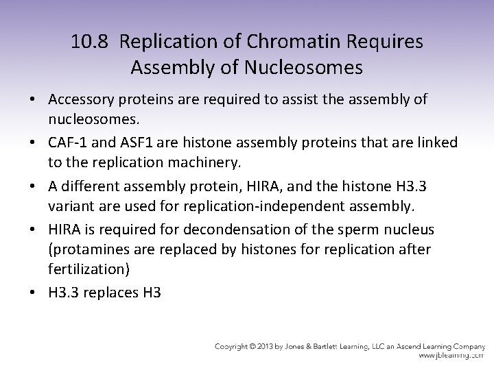 10. 8 Replication of Chromatin Requires Assembly of Nucleosomes • Accessory proteins are required