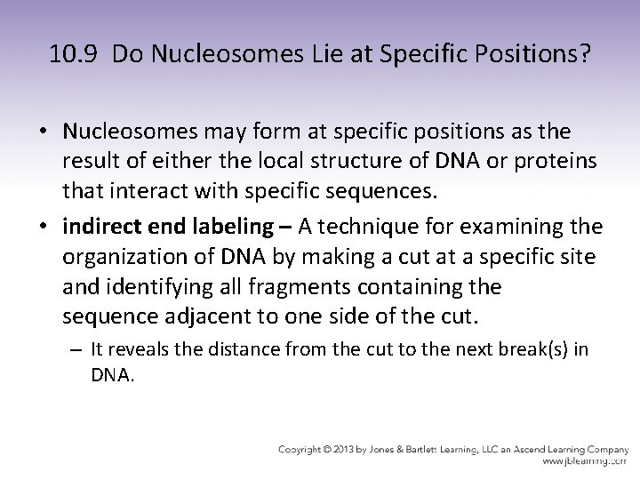 10. 9 Do Nucleosomes Lie at Specific Positions? • Nucleosomes may form at specific