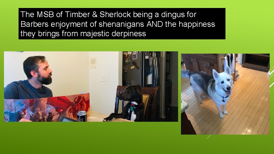 The MSB of Timber & Sherlock being a dingus for Barbers enjoyment of shenanigans