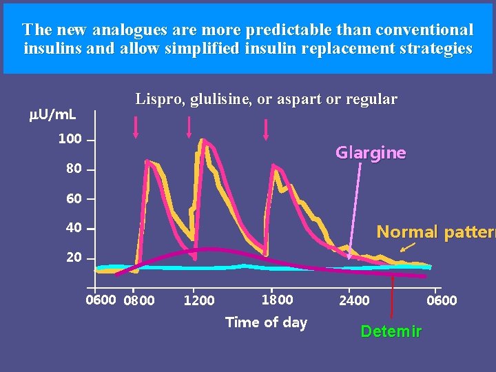 The new analogues are more predictable than conventional insulins and allow simplified insulin replacement