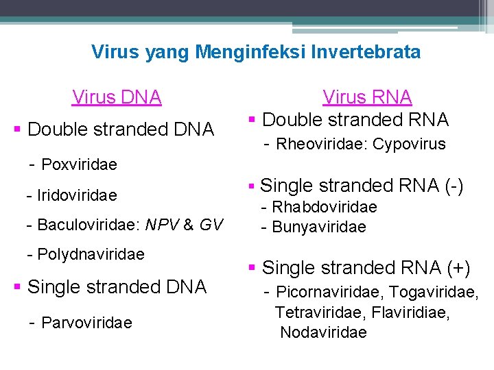 Virus yang Menginfeksi Invertebrata Virus DNA § Double stranded DNA - Poxviridae - Iridoviridae