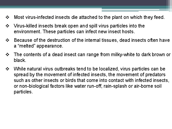 v Most virus-infected insects die attached to the plant on which they feed. v