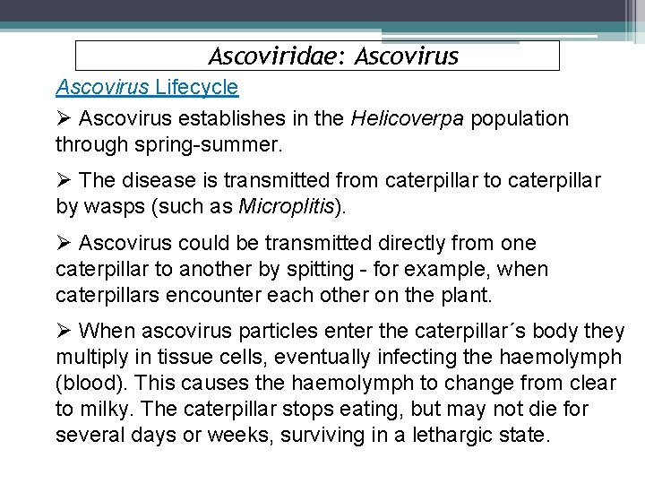 Ascoviridae: Ascovirus Lifecycle Ø Ascovirus establishes in the Helicoverpa population through spring-summer. Ø The