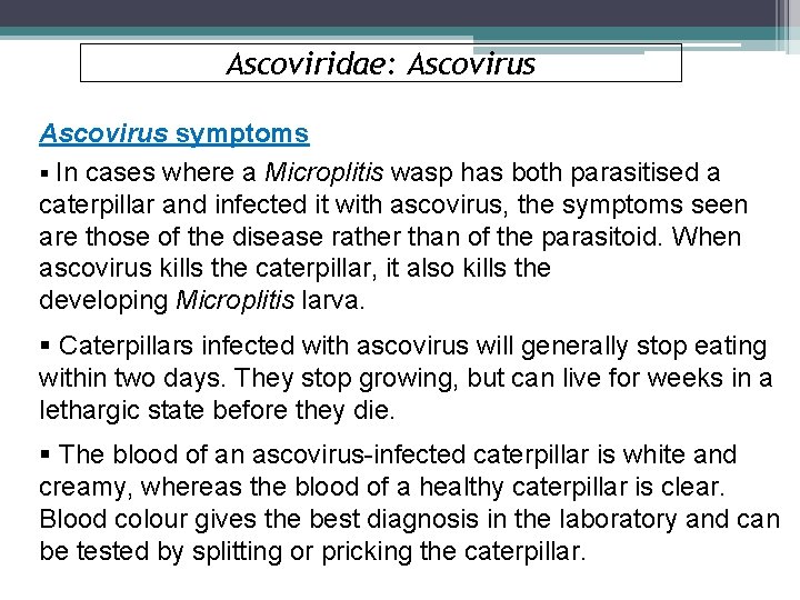 Ascoviridae: Ascovirus symptoms § In cases where a Microplitis wasp has both parasitised a