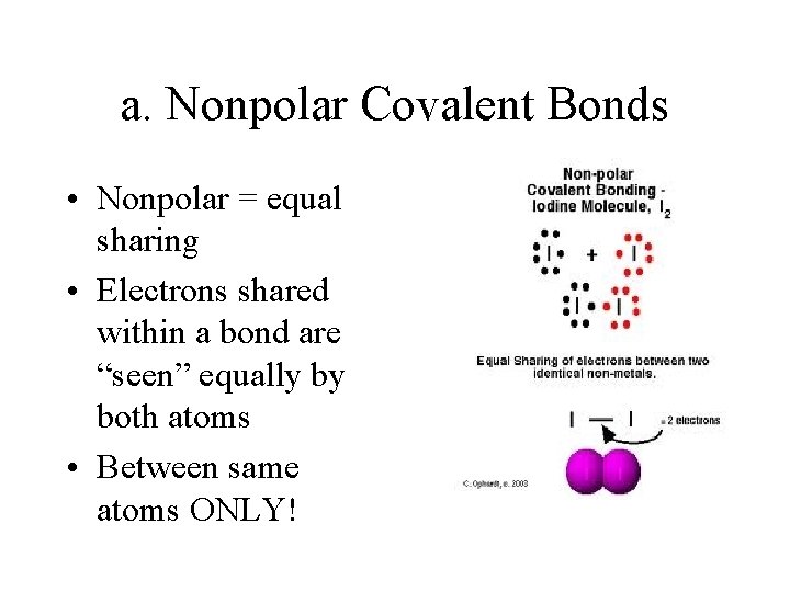 a. Nonpolar Covalent Bonds • Nonpolar = equal sharing • Electrons shared within a