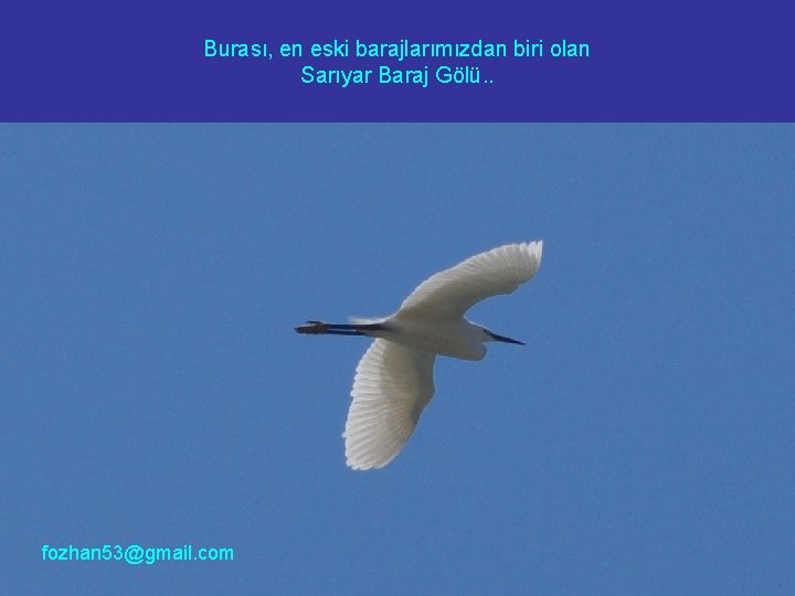 Burası, en eski barajlarımızdan biri olan Sarıyar Baraj Gölü. . fozhan 53@gmail. com 