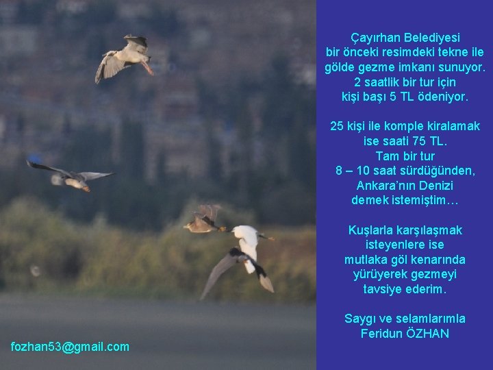 Çayırhan Belediyesi bir önceki resimdeki tekne ile gölde gezme imkanı sunuyor. 2 saatlik bir