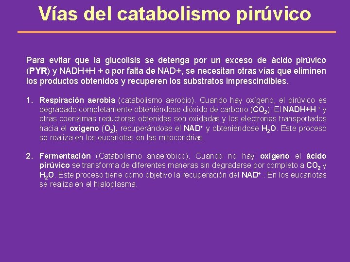 Vías del catabolismo pirúvico Para evitar que la glucolisis se detenga por un exceso