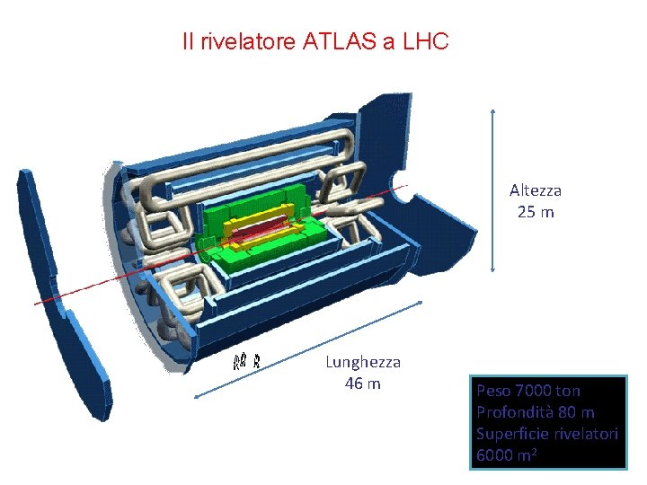 Il rivelatore ATLAS a LHC Altezza 25 m Lunghezza 46 m Peso 7000 ton