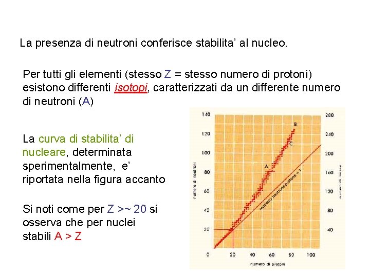 La presenza di neutroni conferisce stabilita’ al nucleo. Per tutti gli elementi (stesso Z