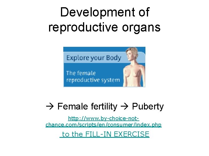 Development of reproductive organs Female fertility Puberty http: //www. by-choice-notchance. com/scripts/en/consumer/index. php to the