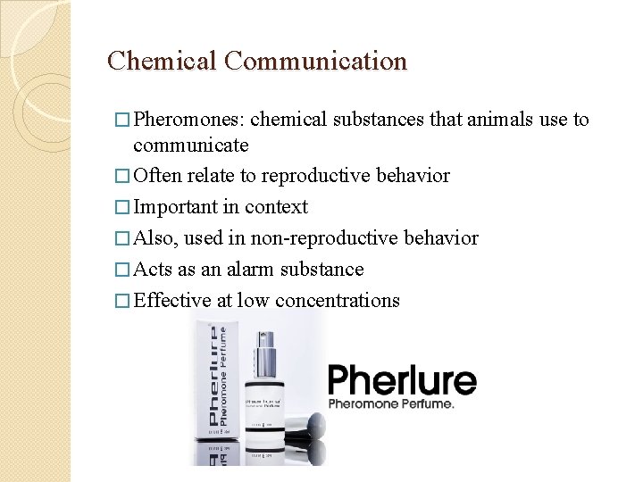 Chemical Communication � Pheromones: chemical substances that animals use to communicate � Often relate