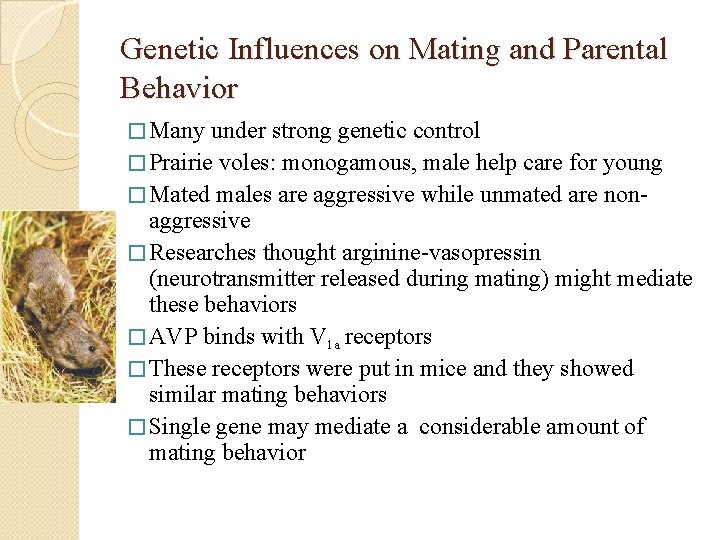 Genetic Influences on Mating and Parental Behavior � Many under strong genetic control �