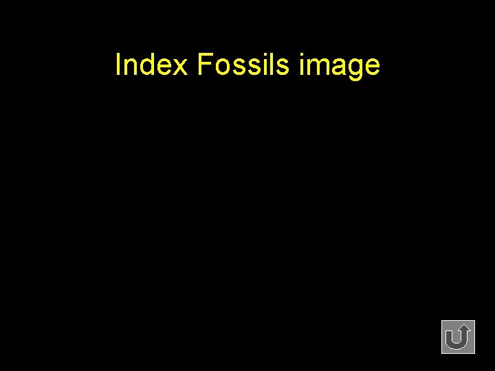 Index Fossils image 