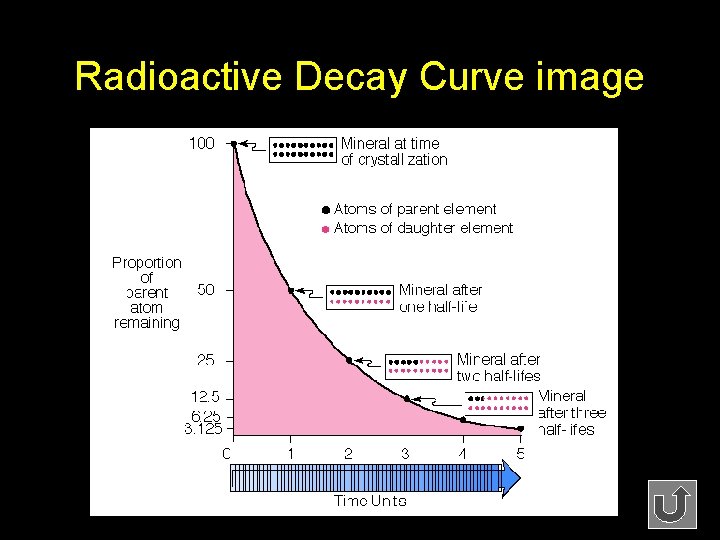 Radioactive Decay Curve image 