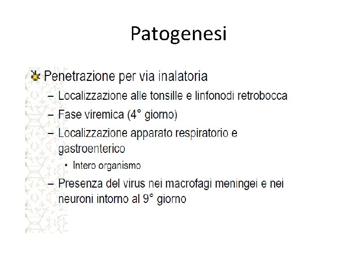 Patogenesi 