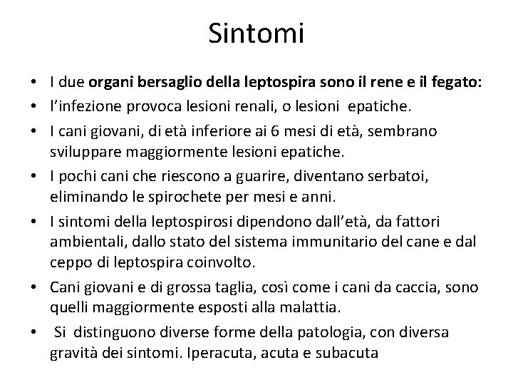 Sintomi • I due organi bersaglio della leptospira sono il rene e il fegato: