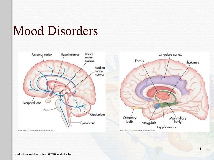 Mood Disorders 11 Mosby items and derived items © 2006 by Mosby, Inc. 