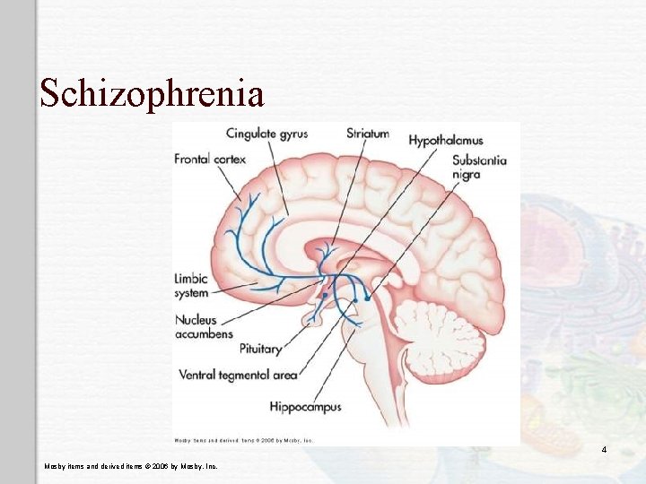 Schizophrenia 4 Mosby items and derived items © 2006 by Mosby, Inc. 