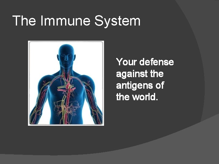 The Immune System Your defense against the antigens of the world. 