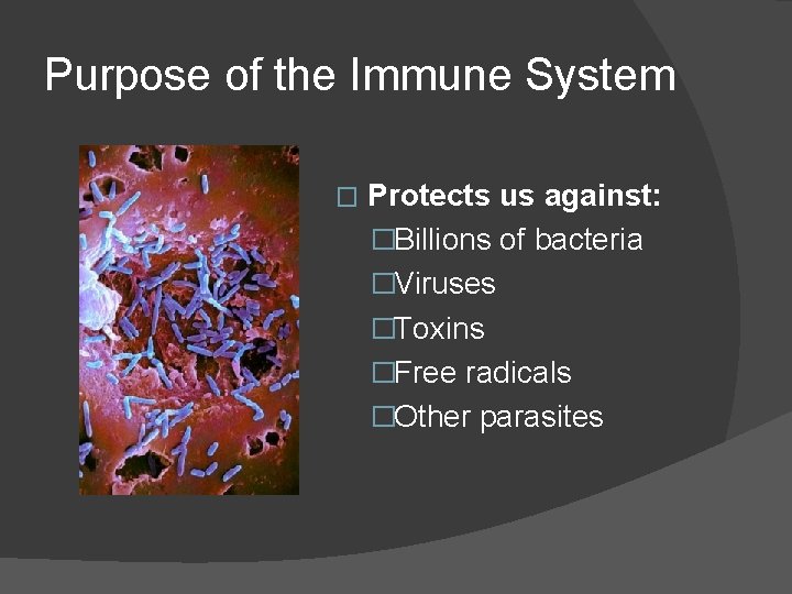 Purpose of the Immune System � Protects us against: �Billions of bacteria �Viruses �Toxins