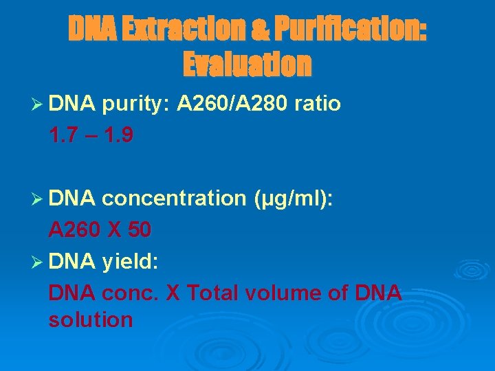 DNA Extraction & Purification: Evaluation Ø DNA purity: A 260/A 280 ratio 1. 7
