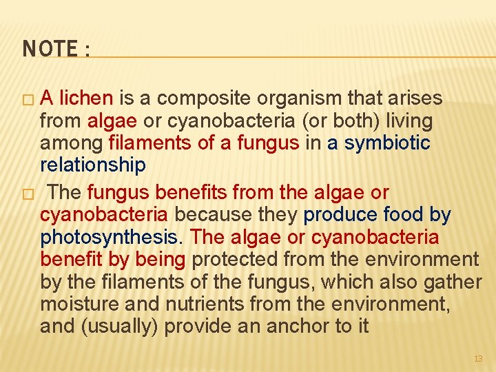 NOTE : �A lichen is a composite organism that arises from algae or cyanobacteria