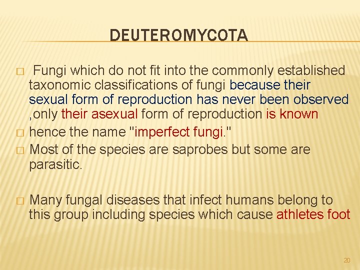 DEUTEROMYCOTA Fungi which do not fit into the commonly established taxonomic classifications of fungi
