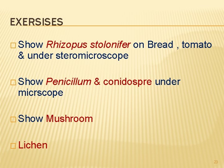 EXERSISES � Show Rhizopus stolonifer on Bread , tomato & under steromicroscope � Show