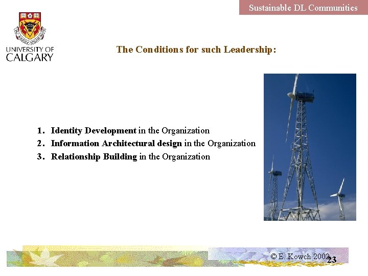 Sustainable DL Communities The Conditions for such Leadership: 1. Identity Development in the Organization