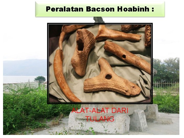 Peralatan Bacson Hoabinh : ALAT-ALAT DARI TULANG 