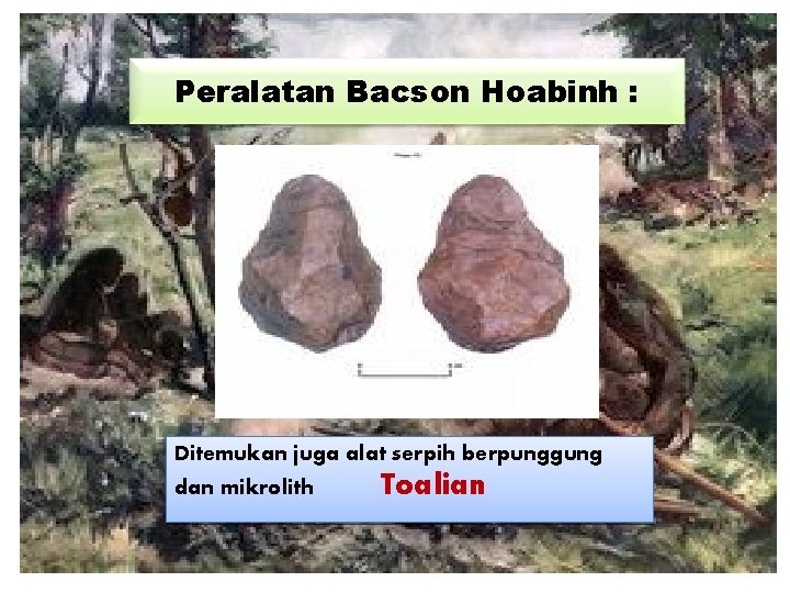 Peralatan Bacson Hoabinh : Ditemukan juga alat serpih berpunggung dan mikrolith Toalian 