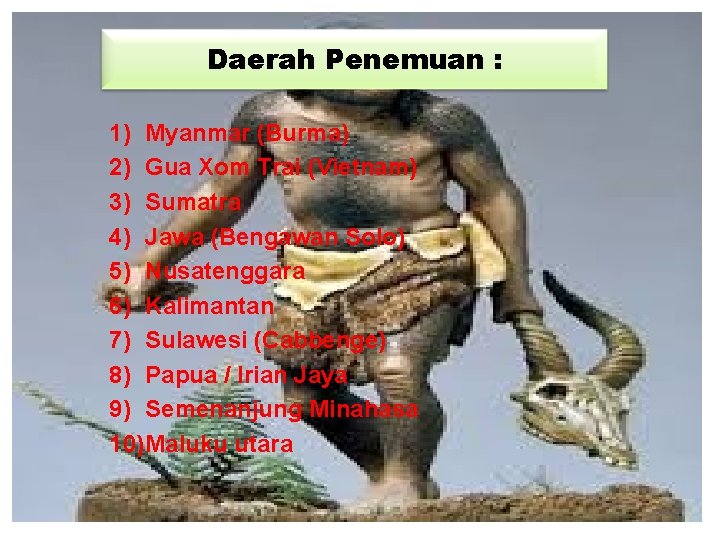 Daerah Penemuan : 1) Myanmar (Burma) 2) Gua Xom Trai (Vietnam) 3) Sumatra 4)